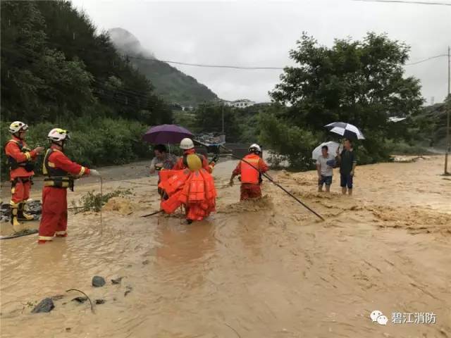 碧江人口数_铜仁市碧江区