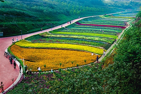 江津首个城市公园鼎山公园浪漫花海