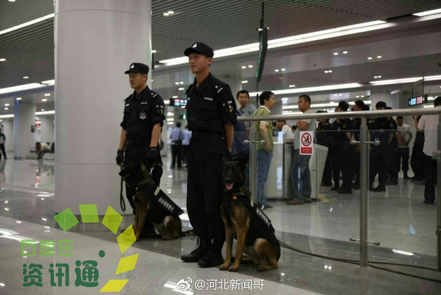 石家庄地铁防恐防爆演练犬警,梁浩走红网络