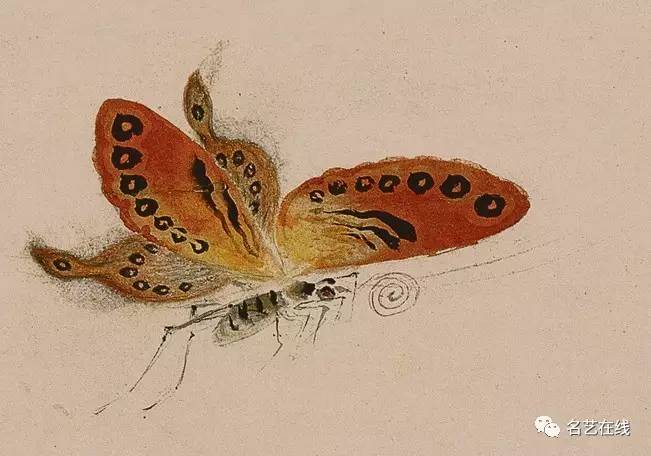 古代画家高清下的蝴蝶,生机灵动,翩翩起舞
