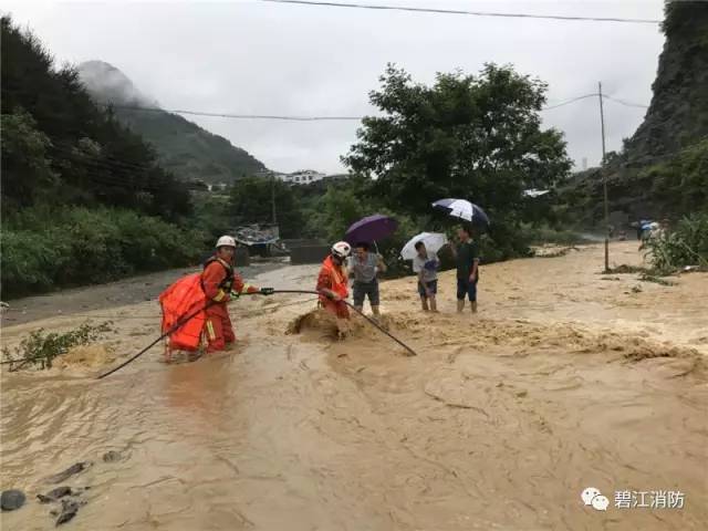 碧江人口数_铜仁市碧江区(3)