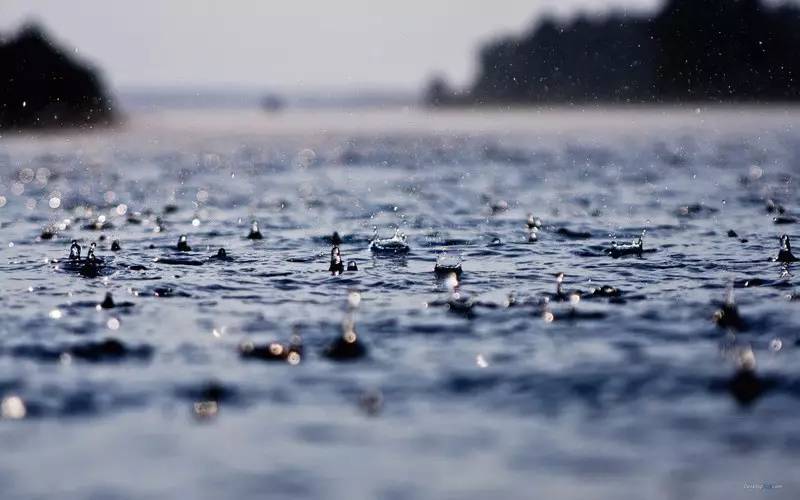 不见你到处是雨,我在雨中等你