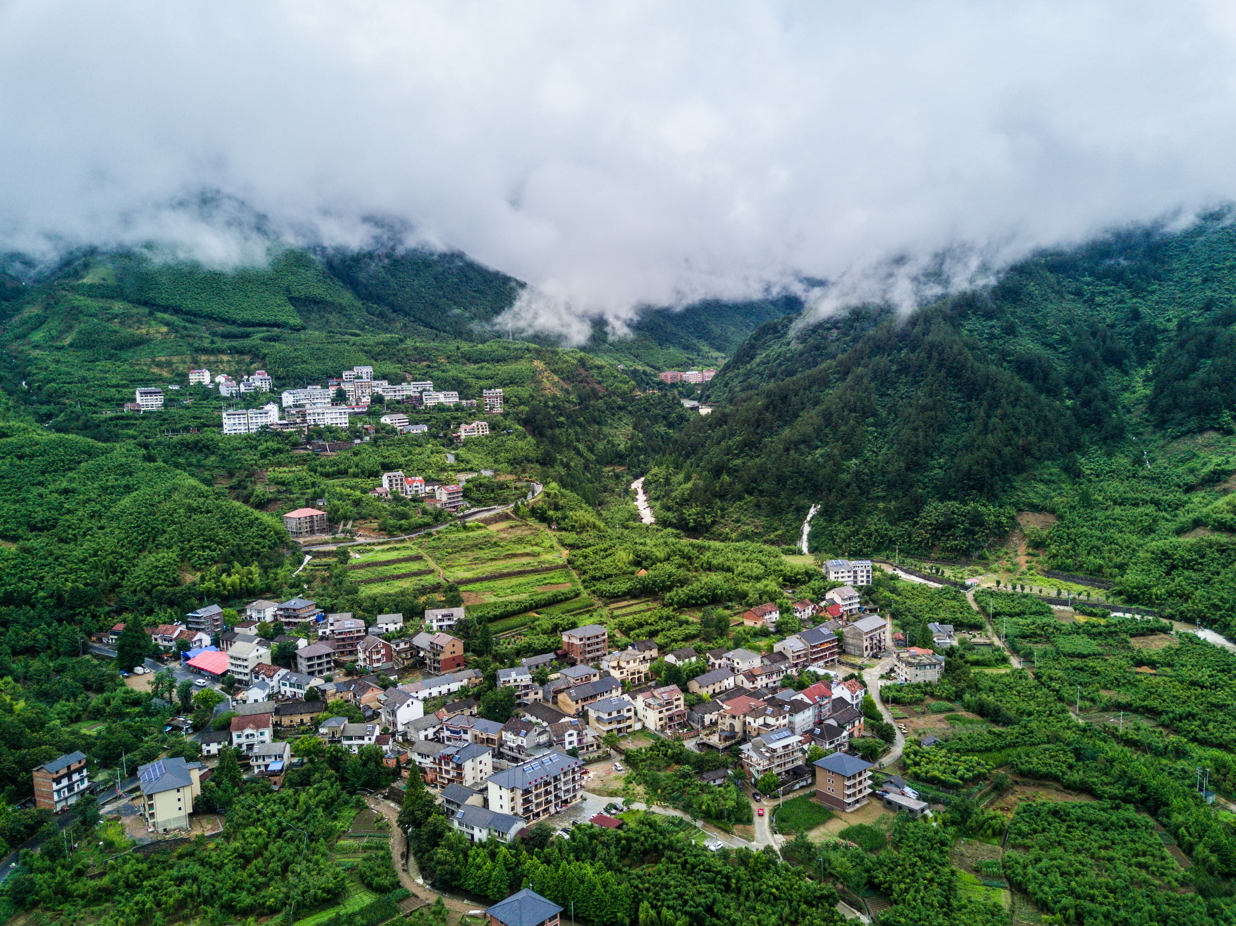 靳村乡鱼山村多少人口_灵石靳村王永军