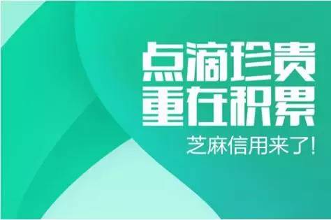 什么是人口积分_...的 苏州市流动人口积分管理办法(3)