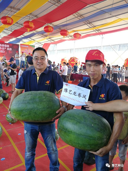 三等奖: 豫艺新机遇,豫艺龙卷风,豫艺明星西瓜,国豫九号,国豫三号,国