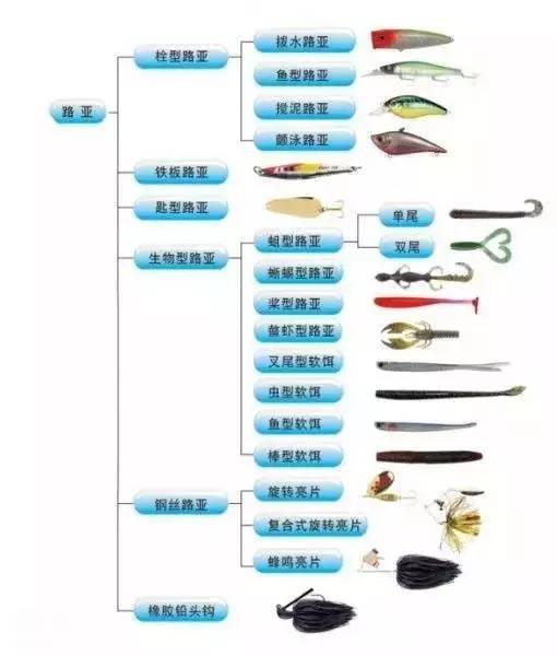 路亚钓鱼路亚分类及术语介绍内含分类表