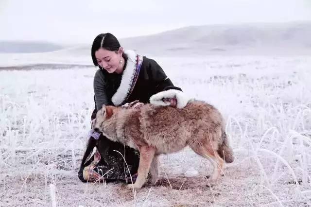 呼吁人们保护动物,警示人们保护动物,不要让人类成为世界仅存的生物