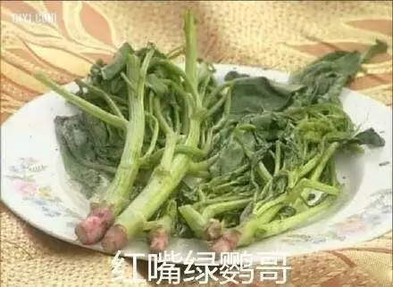 《深夜食堂》也叫美食剧，你们对美食有什么误解？