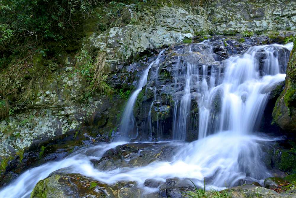 旅游 正文  井冈山龙潭瀑布群位于茨坪北面七公里处,因瀑布数量多