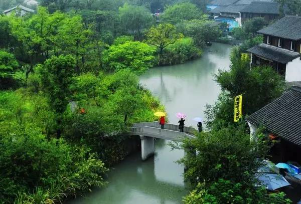 杭州西溪湿地现有维管植物区系多样性研究