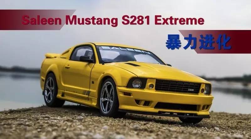 暴力进化saleenmustangs281extreme