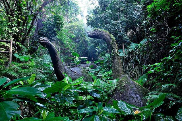 深圳唯一的热带雨林,居然能住在树上看彩虹!