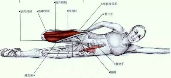 大腿前群肌肉训练 鹅足肌腱炎的预防建议 ▲休息就是最好的治疗,在