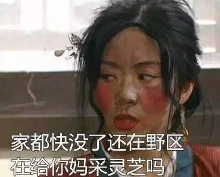 女老总骂人_骂人图片带字(3)