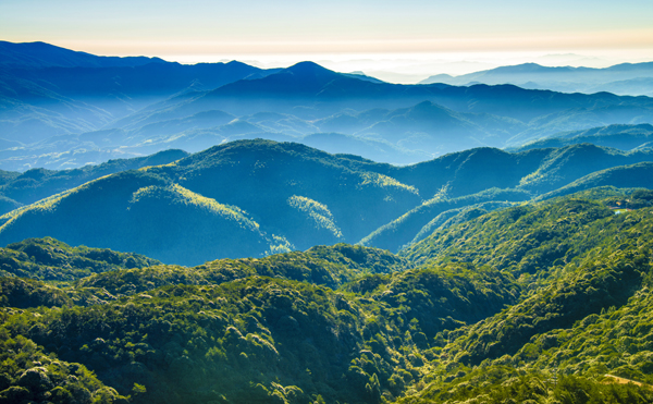 群山叠翠的戴云山国家自然保护区.福建森林覆盖率达65.95.摄影:黄海