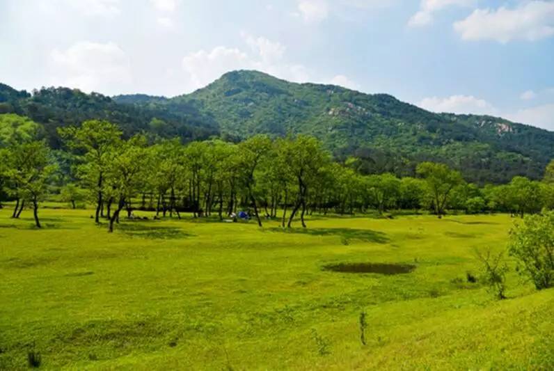 【美景】红安县七里坪镇杨山河风光,请你欣赏