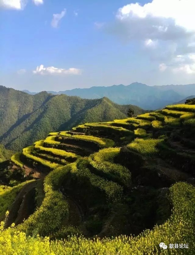 土屋,梯田.歙县一个在天边的村庄