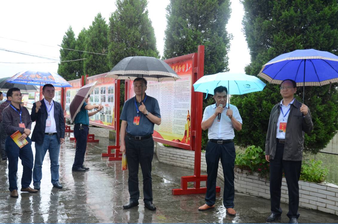 大路槽,蒲场又出"亮点"啦,这么多人下着雨都要来看!