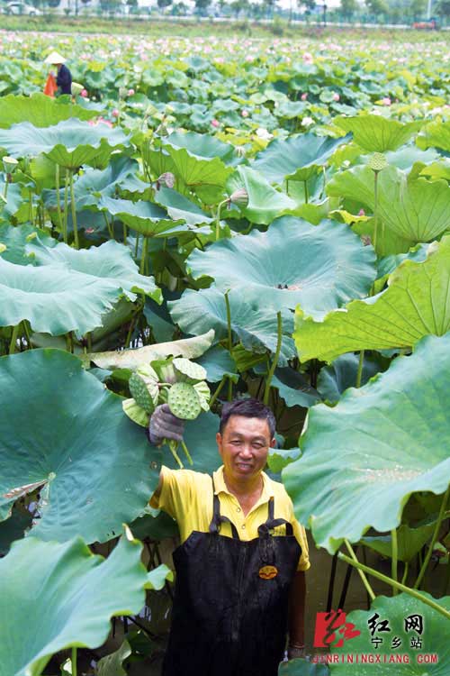 莲花县有多少人口_栩栩如生神像山 一县一品公益助农,广东陆河特色农产品青