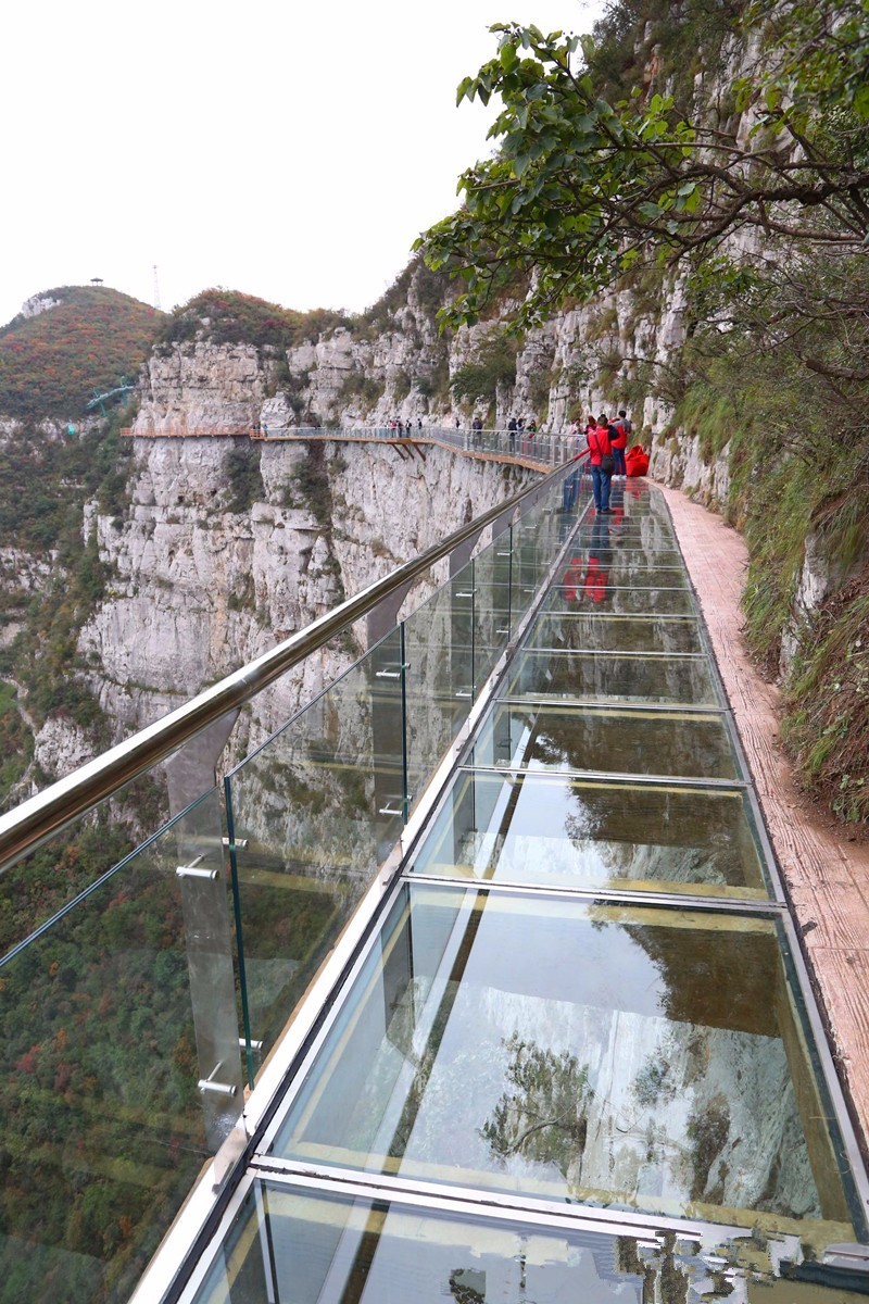 柳树口镇人口_暴雨无情人有志 泽州县柳树口镇水毁路段抢修记