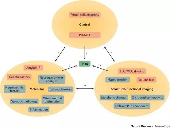nature帕金森病综述特辑:关注早期诊断和精准医疗