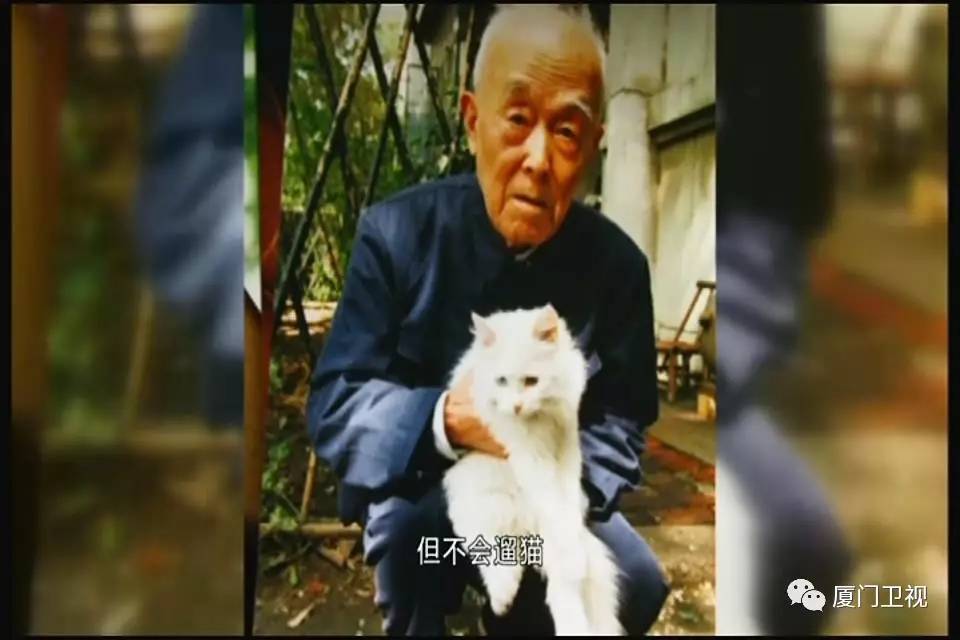 季羡林,丰子恺,冰心.统统是猫奴 钱钟书和林徽因还差点打起来