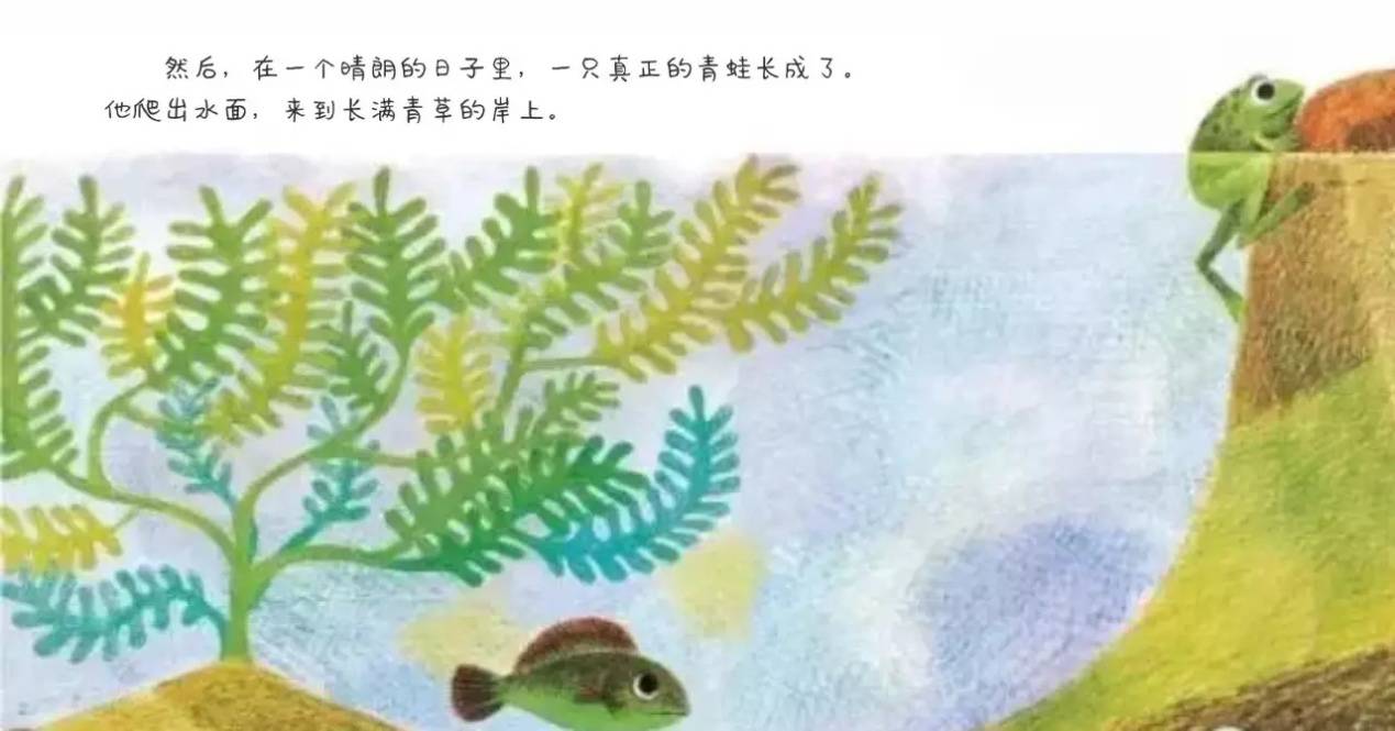 绘本推荐鱼就是鱼一本很美的绘本