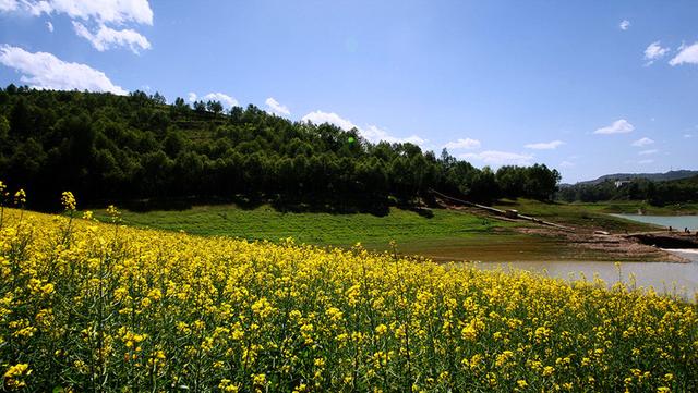 湟中县是青海省西宁市下辖县,位于青海省东部,县城鲁沙尔镇距西宁市25