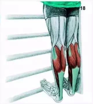 这应该是最常见的拉背方式 拉伸小腿后群肌肉 包括比目鱼肌和腓肠肌