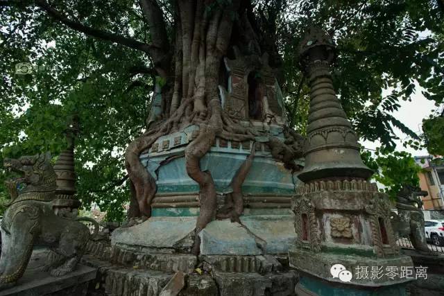 芒市人口_芒市大金塔