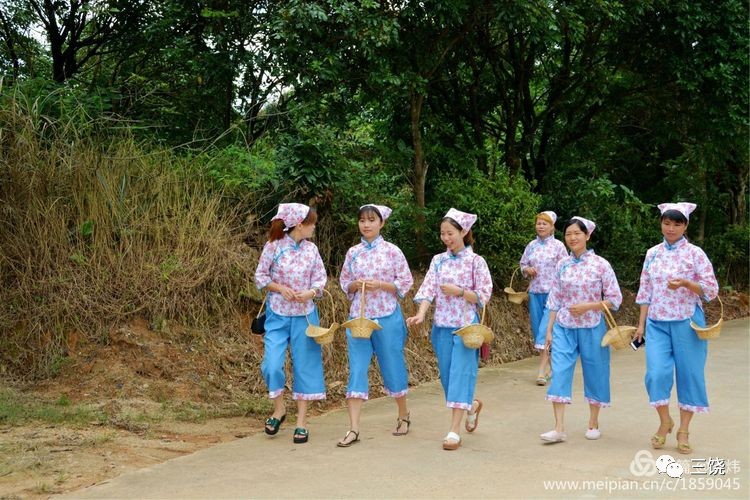 饶平新塘镇人口多少人_饶平多少市场