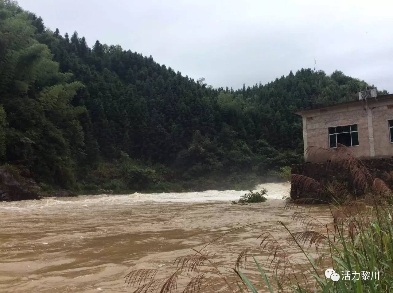 黎川县有多少人口_黎川居然还有一个这么让人流 莲 忘返地方,99 的黎川人都还