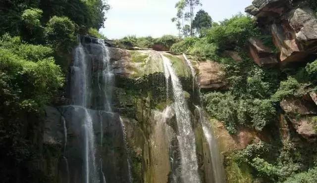 滴水岩森林公园