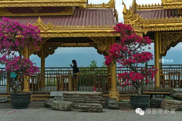 芒市人口_芒市大金塔(2)