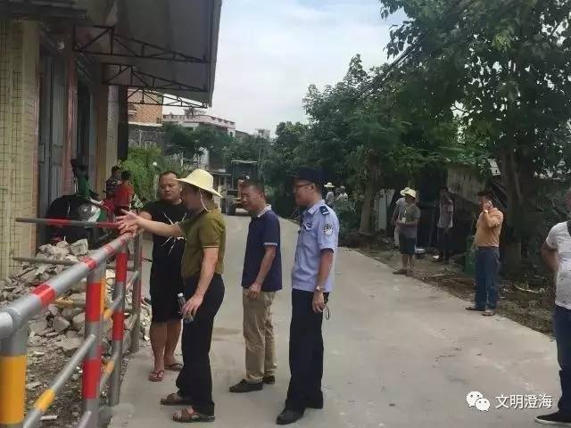 莲华镇各乡人口是多少_人口普查