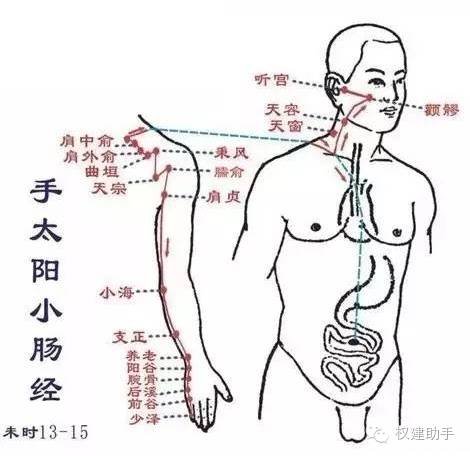 鼻塞的原理图_鼻塞的原理是什么(3)