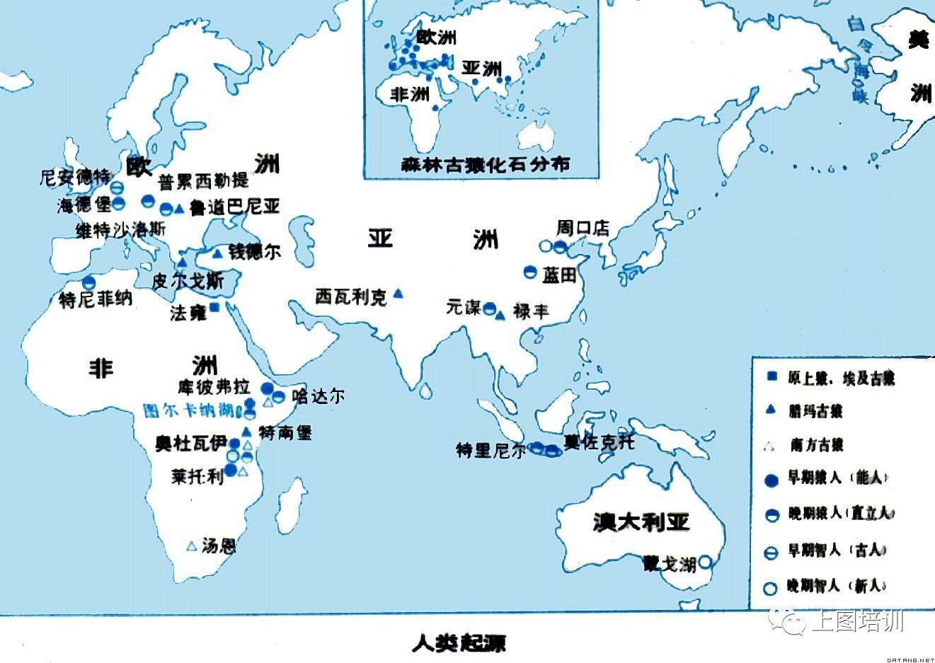 在世界古代文明相关课程中,人类的起源,四大文明古国以及其他古代文明