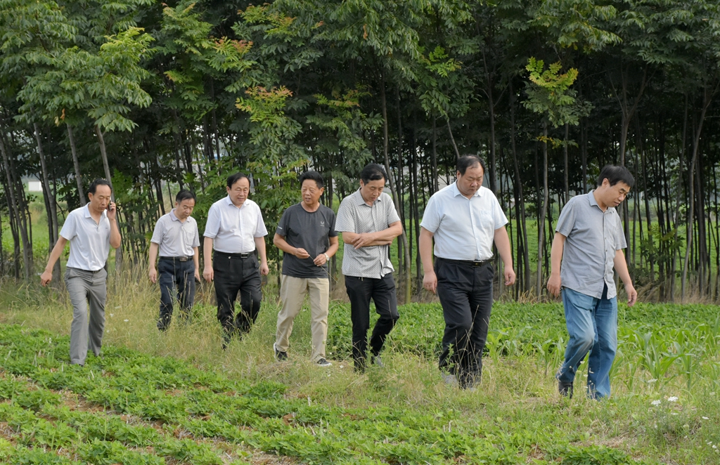 南阳王村总人口_南阳卧龙区王村规划图(2)