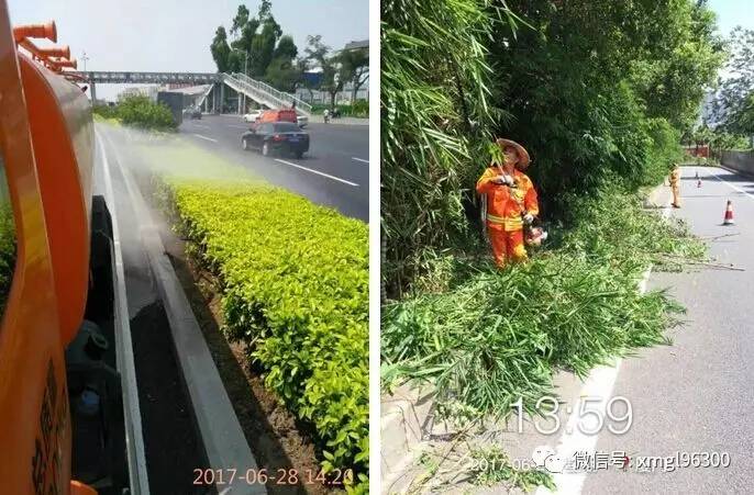 社会 正文 钟宅站环岛干道精细化养护效果 通过此次绿化养护"大比拼"