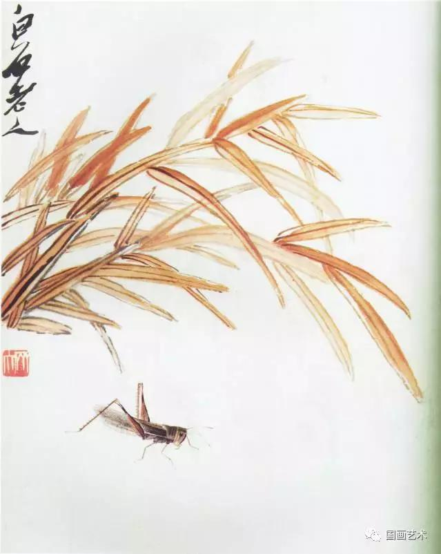 齐白石国画作品欣赏花鸟果蔬画册,水墨画,山水画