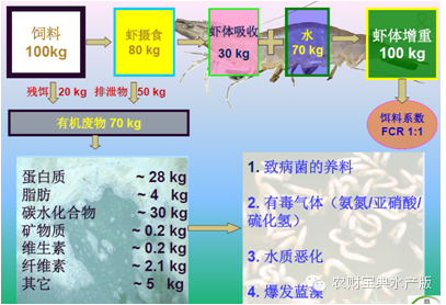 看完秒懂!史上最详细南美白对虾投料细节