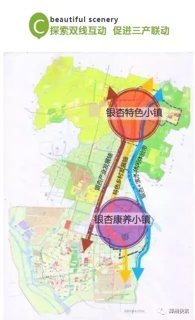 邳州城区人口_邳州属于哪个市