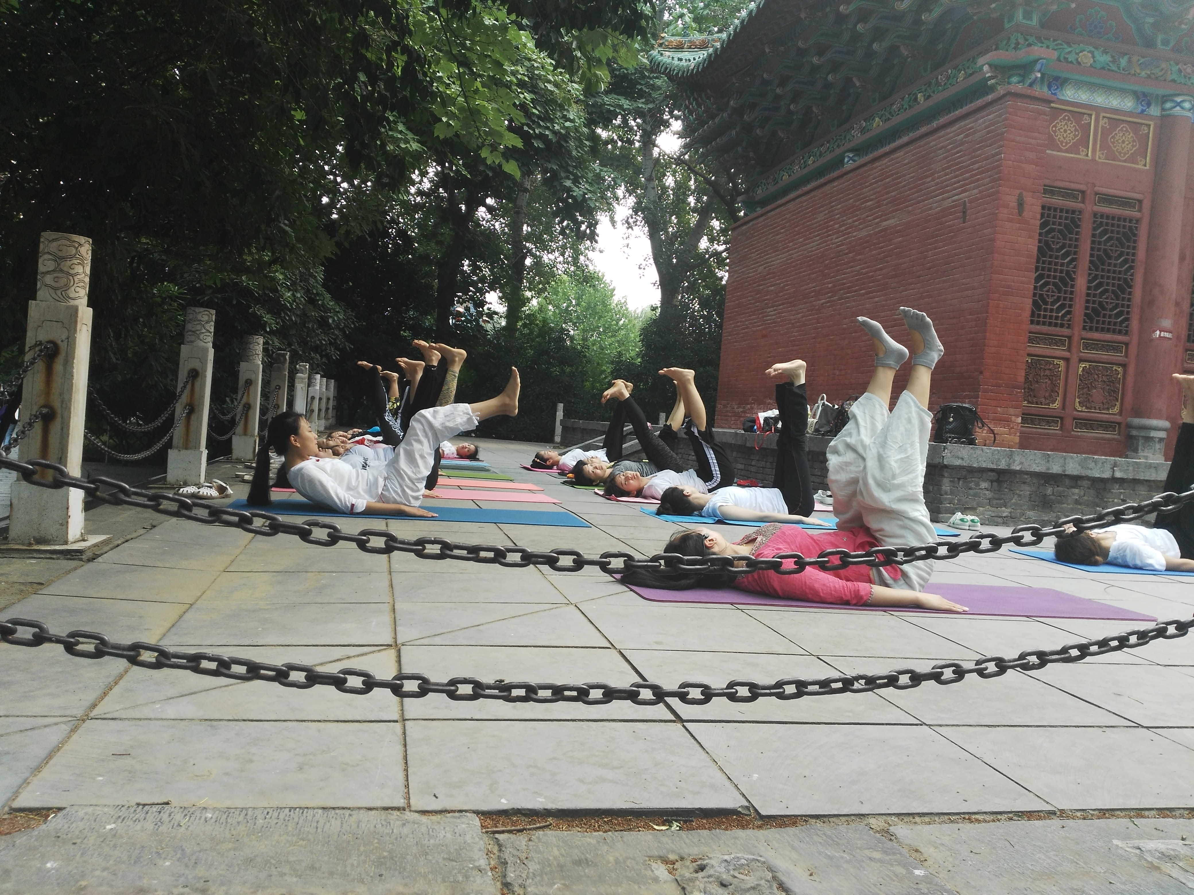 清晨,郑州某公园一群瑜伽爱好者集体秀一字马