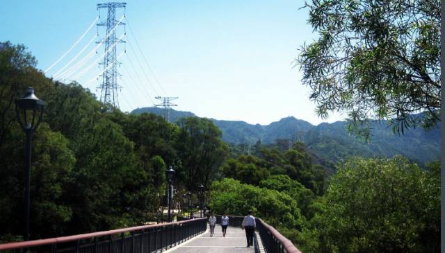 约跑金鸡山,与世界冠军同行,参与助学公益,领养福州市