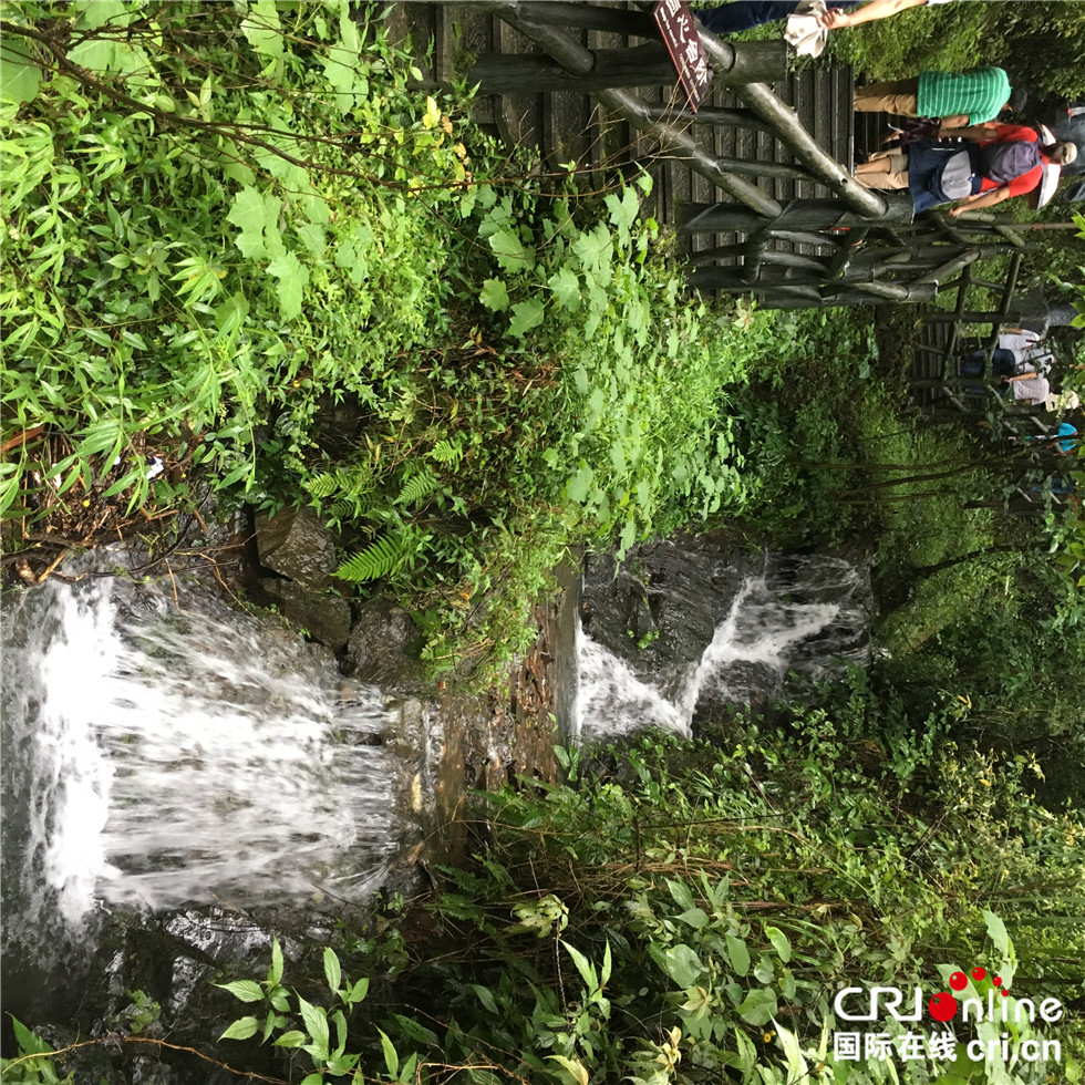 中国水族人口素质_中国水族文化旅游节在贵州三都县开幕(3)