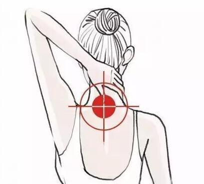 颈椎是脊柱当中最容易受伤最没有安全感的地方;颈部有两条大动脉;肩颈