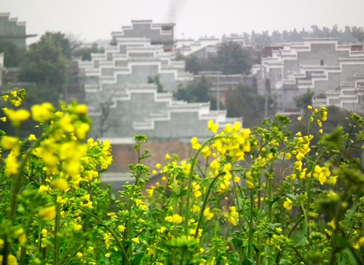 散花镇人口_天女散花图片(2)