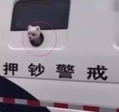 内有恶犬,生人勿近