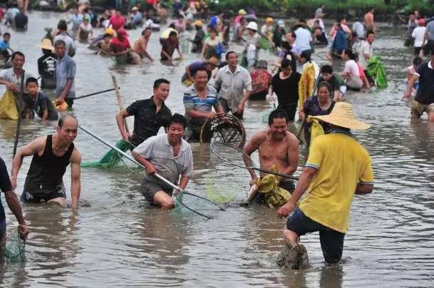 自良镇人口_容县自良镇龙镇村建设广西首个村级湿地公园