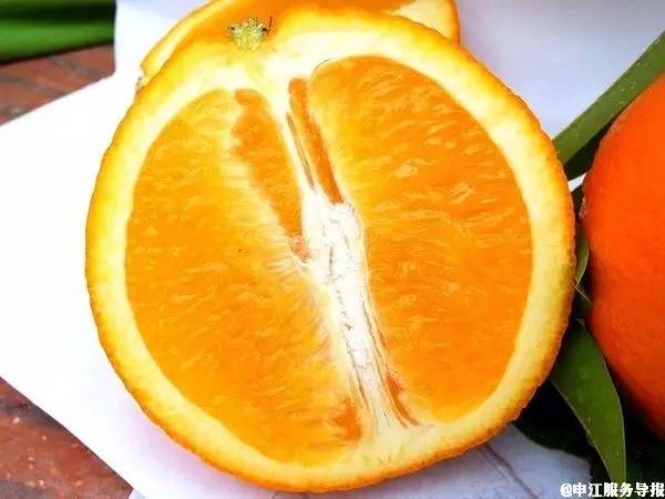 首先将橙子对半剥开,将果肉切面对准简易榨汁器的尖头,边压边旋转